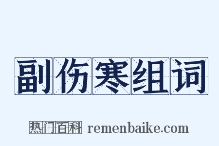 副伤寒组词是什么意思的图片